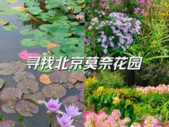 -国家植物园南园