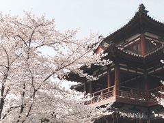 -西安青龙寺遗址景区