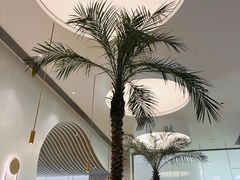 -gaga(金光华店)