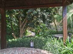-汇雅温泉