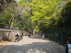 -上海佘山国家森林公园天马山园