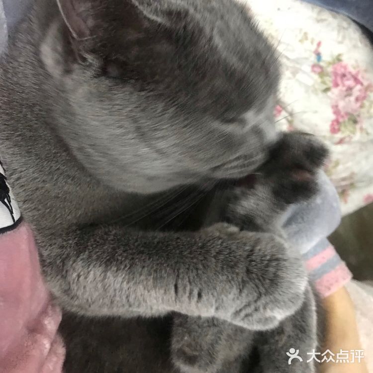 希望阳光的日子赶紧到来，阿弥陀佛