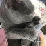 希望阳光的日子赶紧到来，阿弥陀佛