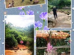 -西双版纳勐泐文化旅游区