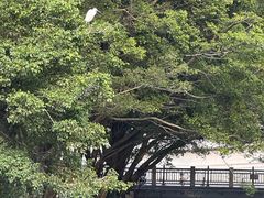 -晓港公园