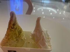 -野人先生现做冰淇淋(北京王府井东方新天地店)