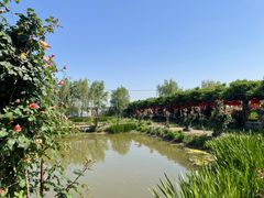 -同銮特种养殖场·龙虾垂钓