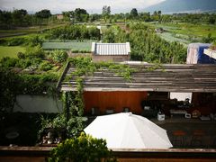 -翠田Green Field Kitchen