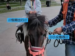 -杭州少年儿童公园