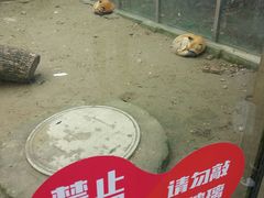 -无锡动物园·太湖欢乐园