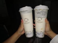 双蛋小皇椰（白屁屁）-茶力的小怪兽(梅林卓悦汇店)