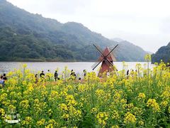 -广州市石门国家森林公园