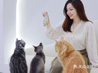 上海探店️治愈系宝藏猫咖hin出片！