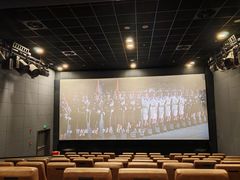 -SFC上影影城(港汇永华IMAX激光店)