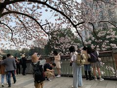 -红星桥(地铁站)