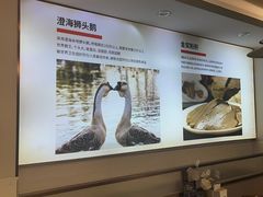 -陆记鹅庄·潮汕菜·狮头鹅(大仟里店)