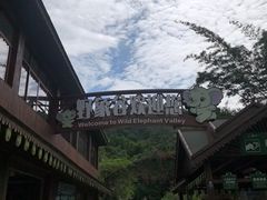 -野象谷景区
