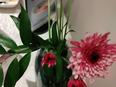 -旺顺阁·北京菜(北辰上品+)