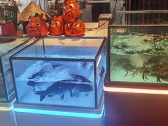 -西安W酒店·WEI全味西餐厅