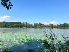 -翠湖国家城市湿地公园