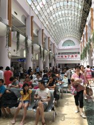 -上海交通大学医学院附属上海儿童医学中心(陆家嘴总院区)
