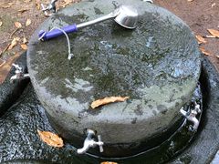 -汉拿树木园