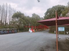 -上海海湾国家森林公园