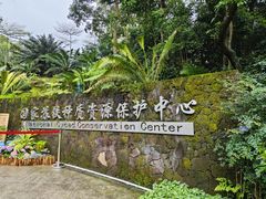 -深圳仙湖植物园