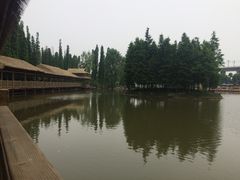 -秀丽东方
