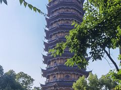 -葛仙湖公园