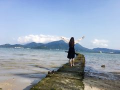 -深圳仙湖植物园-停车场