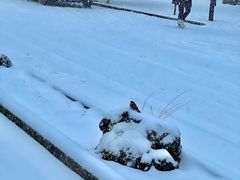 -轻井泽王子购物广场