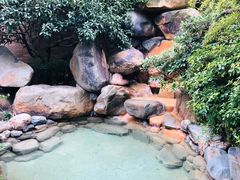 -张家港金凤凰度假村温泉