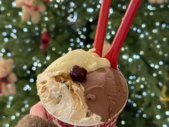 -Dal Cuore 达可芮冰淇淋(陕西北路店)