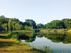 -东莞植物园