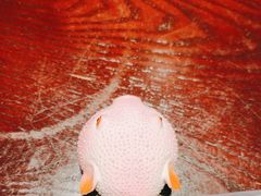 -永安鱼庄·镇江菜(东吴路店)