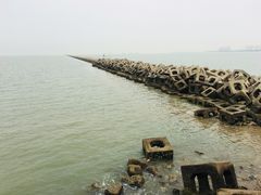 -东疆建设开发纪念公园