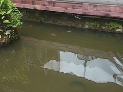 -大妙火锅·非物质文化遗产(东湖公园店)