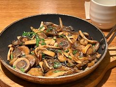 橄榄油三种菇-庆春朴门