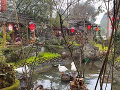 -青城甲(青城山店)