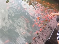 -枫香湖儿童公园