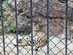 -大连森林动物园