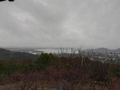 -香雪海