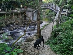 -广州市石门国家森林公园