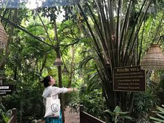 -卷心菜和避孕套餐厅(Pattaya)