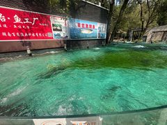 -天怡·鱼工厂(梅溪湖店)