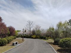 -梁鸿国家湿地公园