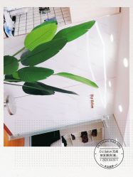 -D.z Salon 无痕接发潮店