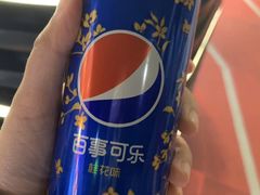 -鹏欣水游城