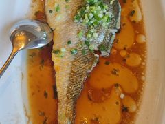 -上海小南国(国会店)